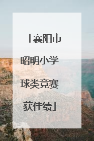 襄阳市昭明小学球类竞赛获佳绩