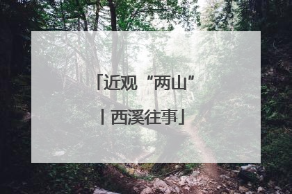 近观“两山”丨西溪往事