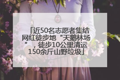 近50名志愿者集结网红徒步地“天鹅林场”，徒步10公里清运150余斤山野垃圾