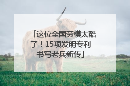 这位全国劳模太酷了！15项发明专利书写老兵新传