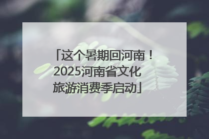 这个暑期回河南！2025河南省文化旅游消费季启动