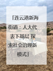连云港新海街道：人大代表下基层 探索社会治理新模式