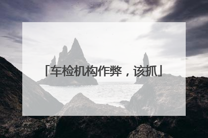 车检机构作弊，该抓