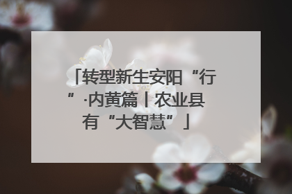 转型新生安阳“行”·内黄篇丨农业县有“大智慧”