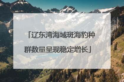 辽东湾海域斑海豹种群数量呈现稳定增长