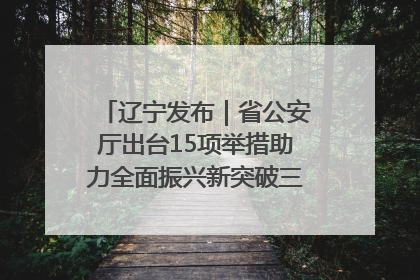 辽宁发布｜省公安厅出台15项举措助力全面振兴新突破三年行动决胜之战