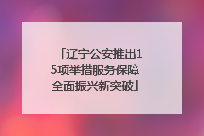 辽宁公安推出15项举措服务保障全面振兴新突破