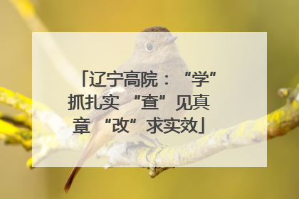 辽宁高院：“学”抓扎实 “查”见真章 “改”求实效