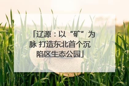 辽源：以“矿”为脉 打造东北首个沉陷区生态公园