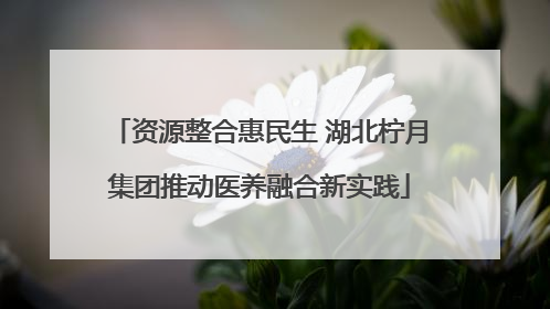 资源整合惠民生 湖北柠月集团推动医养融合新实践