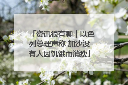 资讯很有聊｜以色列总理声称 加沙没有人因饥饿而消瘦