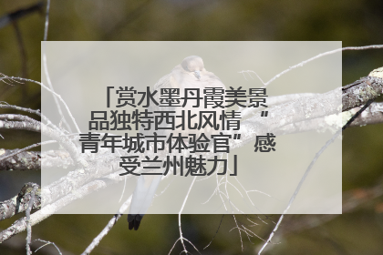 赏水墨丹霞美景 品独特西北风情 “青年城市体验官”感受兰州魅力