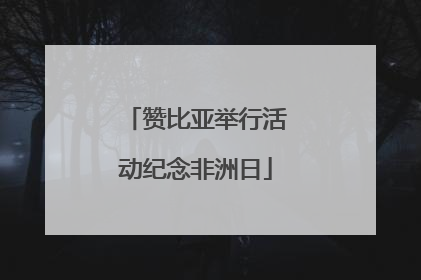 赞比亚举行活动纪念非洲日