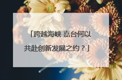 跨越海峡 嘉台何以共赴创新发展之约？