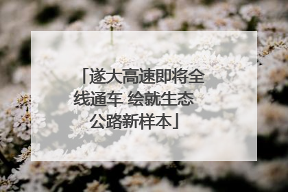 遂大高速即将全线通车 绘就生态公路新样本