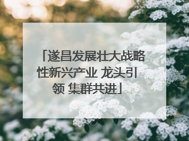遂昌发展壮大战略性新兴产业 龙头引领 集群共进
