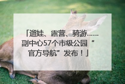 遛娃、露营、骑游……副中心57个市级公园“官方导航”发布！