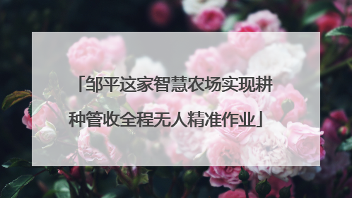 邹平这家智慧农场实现耕种管收全程无人精准作业
