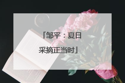 邹平：夏日采摘正当时
