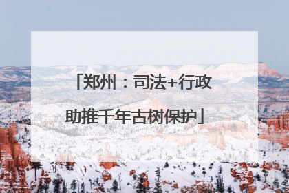 郑州：司法+行政助推千年古树保护