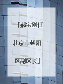 郝宝刚任北京市朝阳区副区长