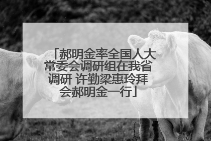郝明金率全国人大常委会调研组在我省调研 许勤梁惠玲拜会郝明金一行