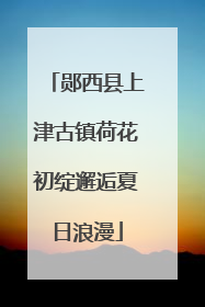 郧西县上津古镇荷花初绽邂逅夏日浪漫