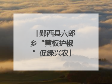郧西县六郎乡“黄板护椒”促绿兴农