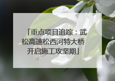 重点项目追踪：武松高速松西河特大桥开启施工攻坚期