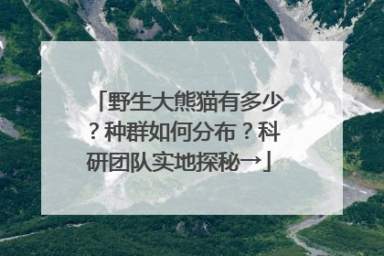 野生大熊猫有多少？种群如何分布？科研团队实地探秘→