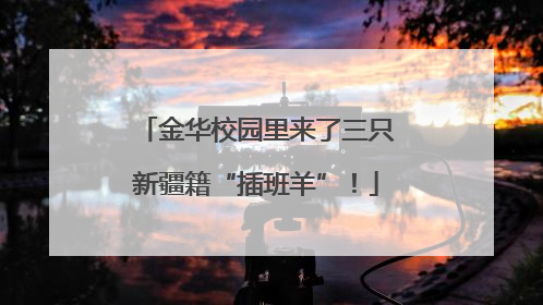 金华校园里来了三只新疆籍“插班羊”！