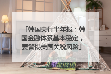 韩国央行半年报：韩国金融体系基本稳定，要警惕美国关税风险