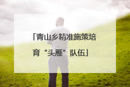 青山乡精准施策培育“头雁”队伍