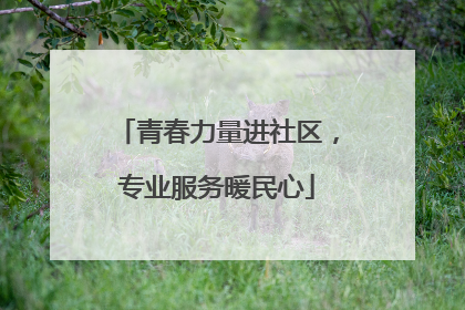 青春力量进社区，专业服务暖民心