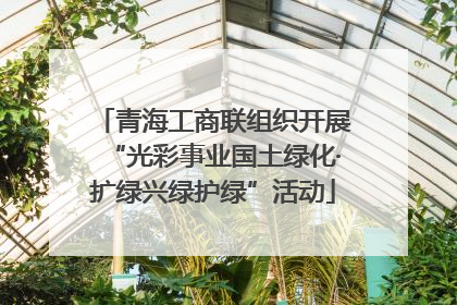 青海工商联组织开展“光彩事业国土绿化·扩绿兴绿护绿”活动