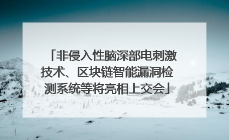 非侵入性脑深部电刺激技术、区块链智能漏洞检测系统等将亮相上交会