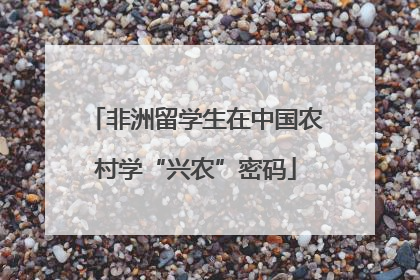 非洲留学生在中国农村学“兴农”密码
