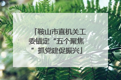 鞍山市直机关工委锚定“五个聚焦”抓党建促振兴