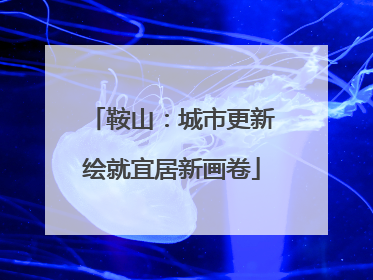 鞍山：城市更新绘就宜居新画卷