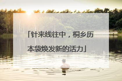 针来线往中，桐乡历本袋焕发新的活力