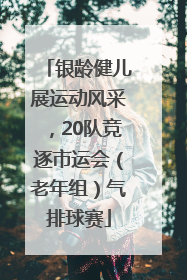 银龄健儿展运动风采，20队竞逐市运会（老年组）气排球赛