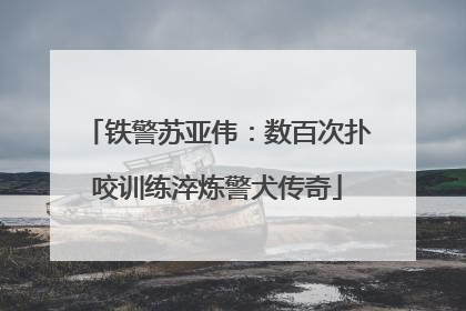 铁警苏亚伟：数百次扑咬训练淬炼警犬传奇