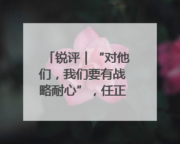 锐评｜“对他们，我们要有战略耐心”，任正非给谁提了醒