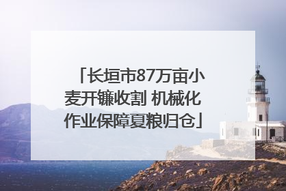 长垣市87万亩小麦开镰收割 机械化作业保障夏粮归仓