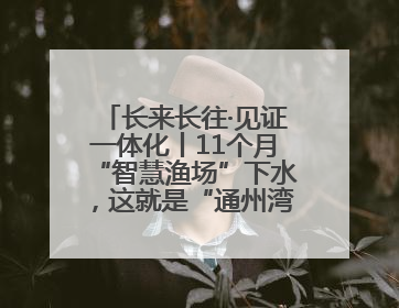 长来长往·见证一体化丨11个月“智慧渔场”下水，这就是“通州湾速度”！