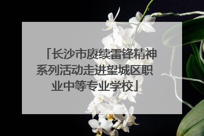 长沙市赓续雷锋精神系列活动走进望城区职业中等专业学校