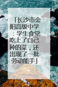 长沙市金阳高级中学：学生食堂吃上了自己种的菜，还出现了一批劳动能手