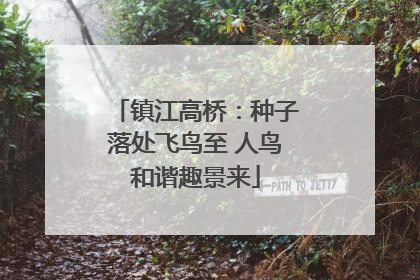 镇江高桥：种子落处飞鸟至 人鸟和谐趣景来