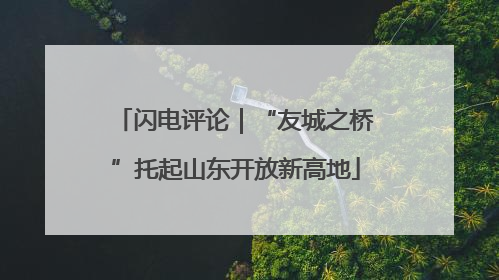 闪电评论｜“友城之桥”托起山东开放新高地