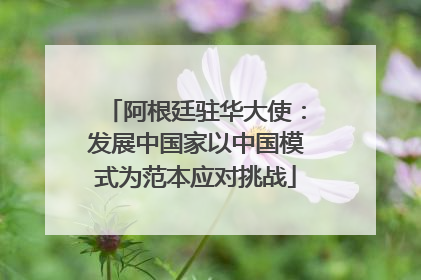 阿根廷驻华大使：发展中国家以中国模式为范本应对挑战